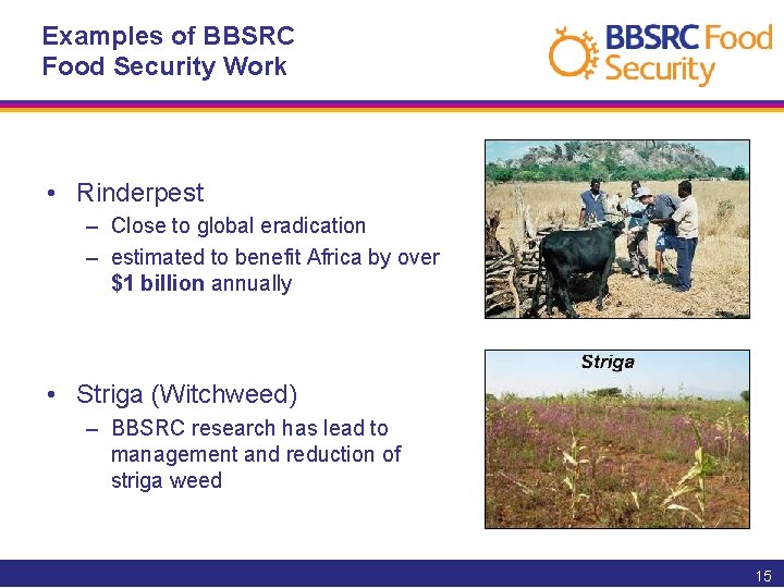 Examples of BBSRC Food Security Work • Rinderpest – Close to global eradication –