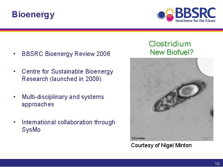 Bioenergy • BBSRC Bioenergy Review 2006 Clostridium New Biofuel? • Centre for Sustainable Bioenergy