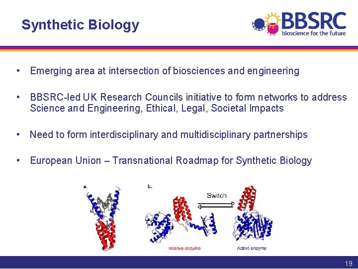 Synthetic Biology • Emerging area at intersection of biosciences and engineering • BBSRC-led UK