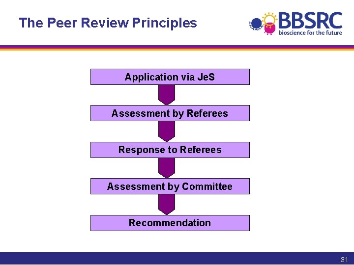 The Peer Review Principles Application via Je. S Assessment by Referees Response to Referees
