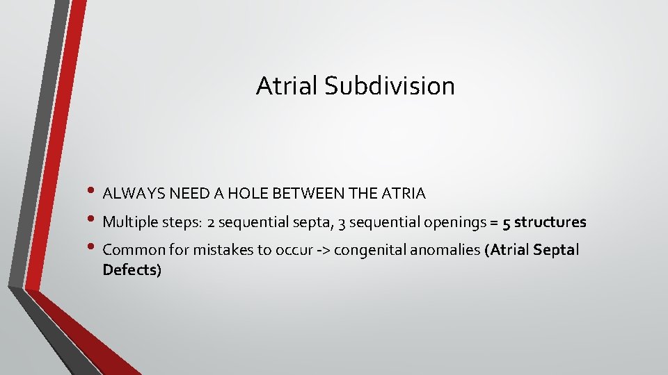 Atrial Subdivision • ALWAYS NEED A HOLE BETWEEN THE ATRIA • Multiple steps: 2