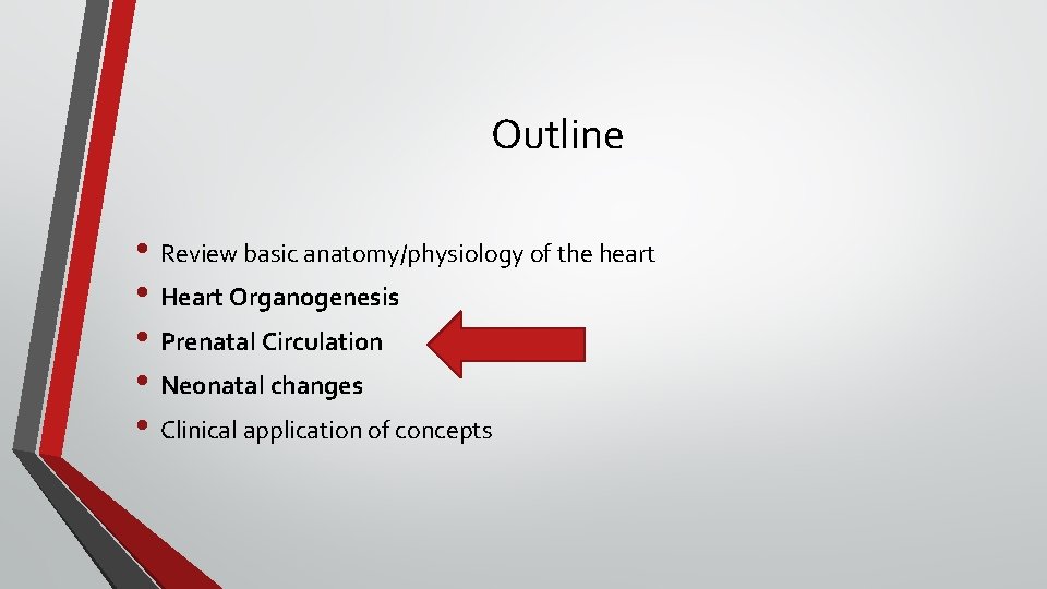 Outline • Review basic anatomy/physiology of the heart • Heart Organogenesis • Prenatal Circulation