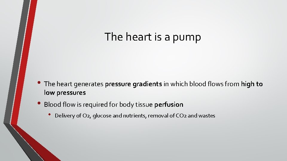 The heart is a pump • The heart generates pressure gradients in which blood