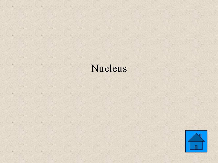 Nucleus 