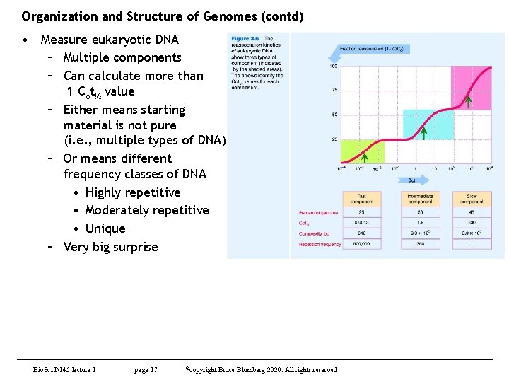 Organization and Structure of Genomes (contd) • Measure eukaryotic DNA – Multiple components –