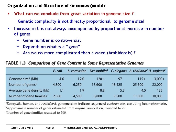 Organization and Structure of Genomes (contd) • What can we conclude from great variation