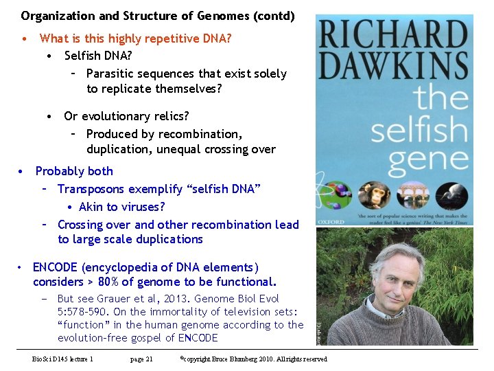 Organization and Structure of Genomes (contd) • What is this highly repetitive DNA? •