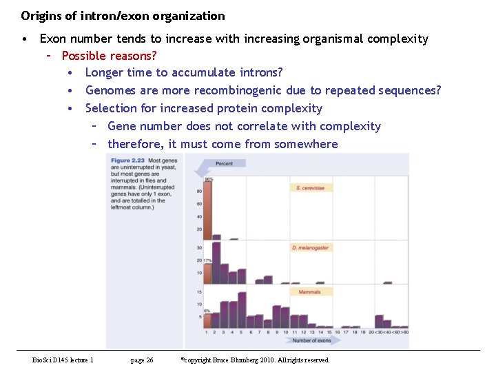 Origins of intron/exon organization • Exon number tends to increase with increasing organismal complexity