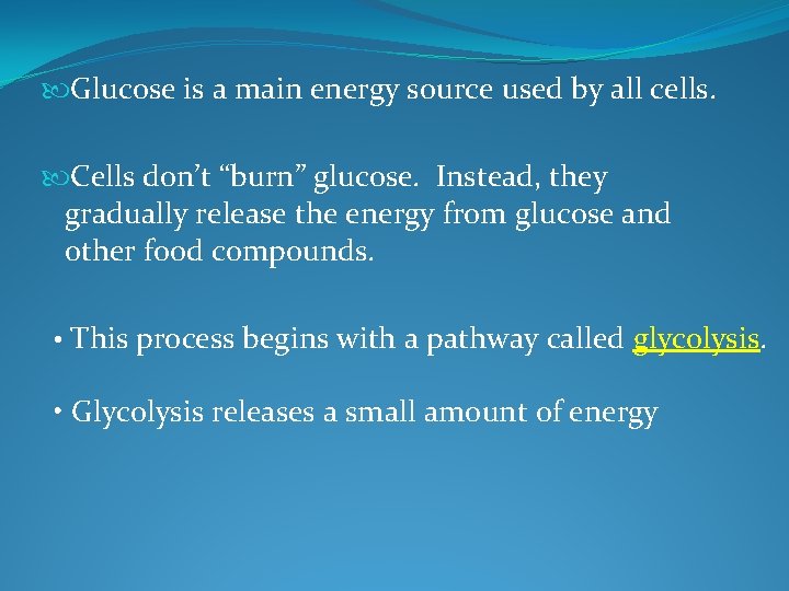  Glucose is a main energy source used by all cells. Cells don’t “burn”