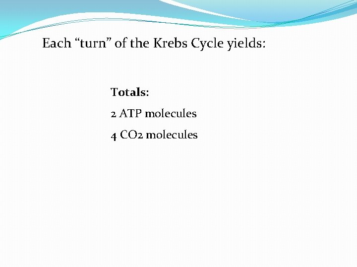 Each “turn” of the Krebs Cycle yields: Totals: 2 ATP molecules 4 CO 2