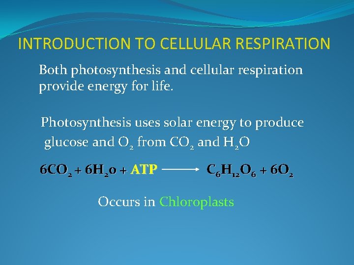 INTRODUCTION TO CELLULAR RESPIRATION Both photosynthesis and cellular respiration provide energy for life. Photosynthesis