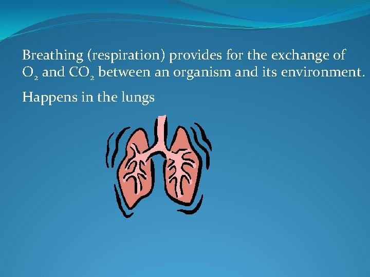 Breathing (respiration) provides for the exchange of O 2 and CO 2 between an