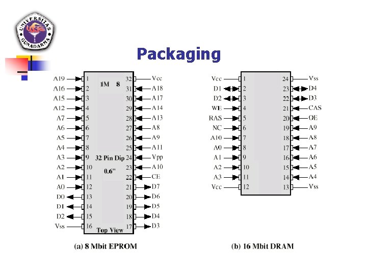 Packaging 