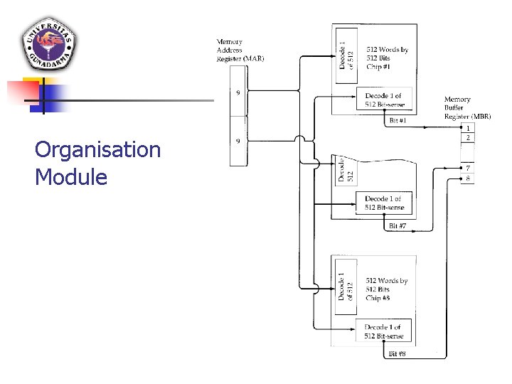 Organisation Module 