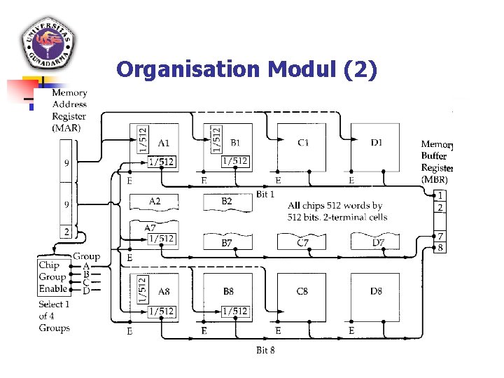 Organisation Modul (2) 