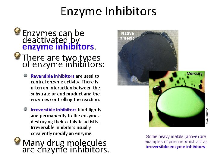 Enzyme Inhibitors Reversible inhibitors are used to control enzyme activity. There is often an