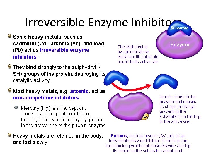 Irreversible Enzyme Inhibitors Substrate Some heavy metals, such as cadmium (Cd), arsenic (As), and