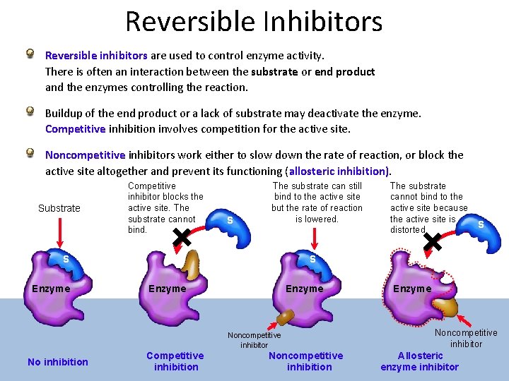 Reversible Inhibitors Reversible inhibitors are used to control enzyme activity. There is often an