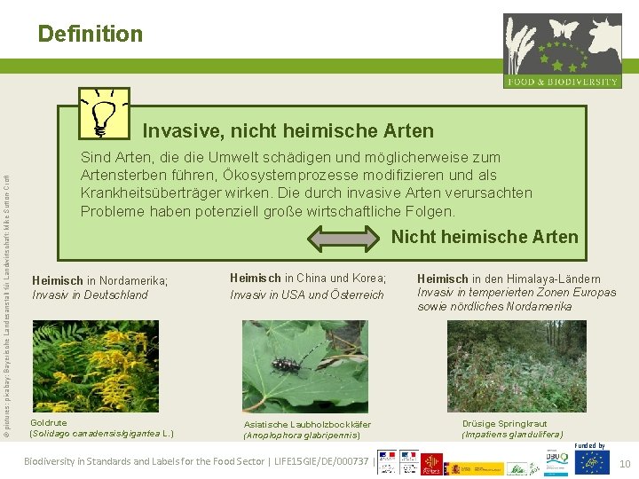 Definition © pictures: pixabay; Bayerische Landesanstalt für Landwirtschaft; Mike Sutton-Croft Invasive, nicht heimische Arten