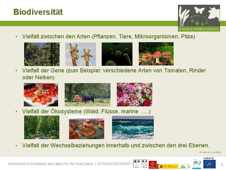 Biodiversität • Vielfalt zwischen den Arten (Pflanzen, Tiere, Mikroorganismen, Pilze) • Vielfalt der Gene