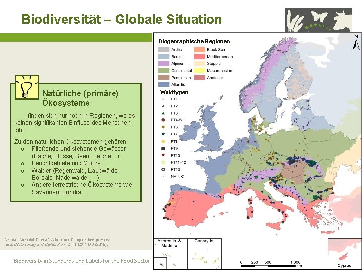 Biodiversität – Globale Situation Biogeoraphische Regionen Natürliche (primäre) Ökosysteme Waldtypen ……. finden sich nur