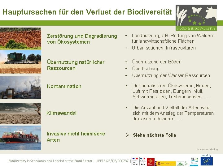 Hauptursachen für den Verlust der Biodiversität • • Landnutzung, z. B. Rodung von Wäldern