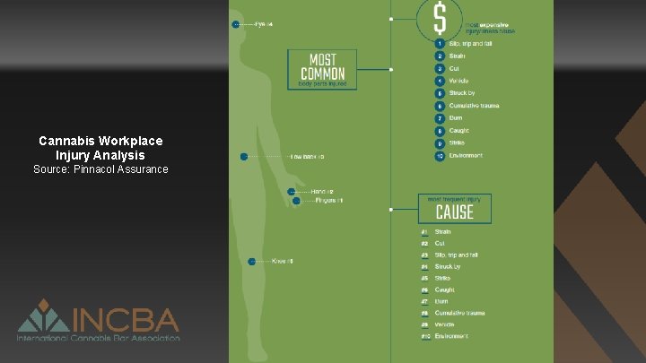 Cannabis Workplace Injury Analysis Source: Pinnacol Assurance 