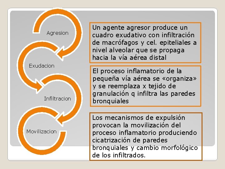 Agresion Exudacion Infiltracion Movilizacion Un agente agresor produce un cuadro exudativo con infiltración de