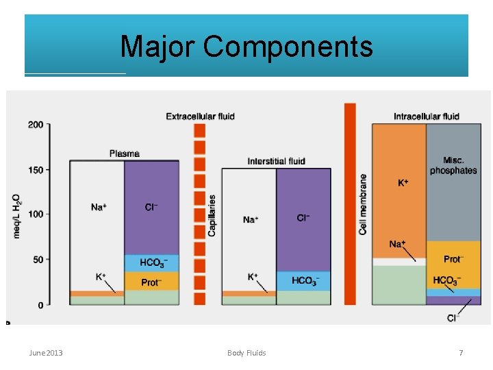 Major Components June 2013 Body Fluids 7 