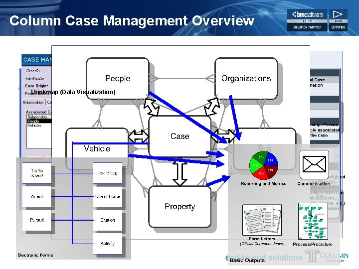 Column Case Management Overview Thinkmap (Data Visualization) 