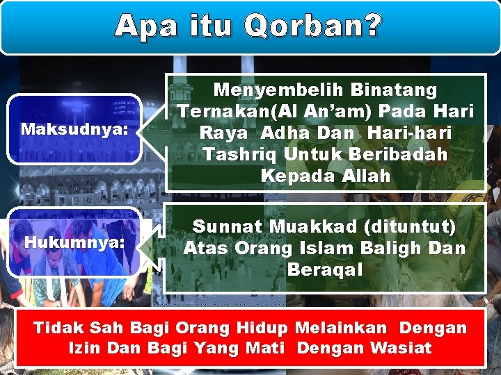 Apa itu Qorban? Maksudnya: Menyembelih Binatang Ternakan(Al An’am) Pada Hari Raya Adha Dan Hari-hari