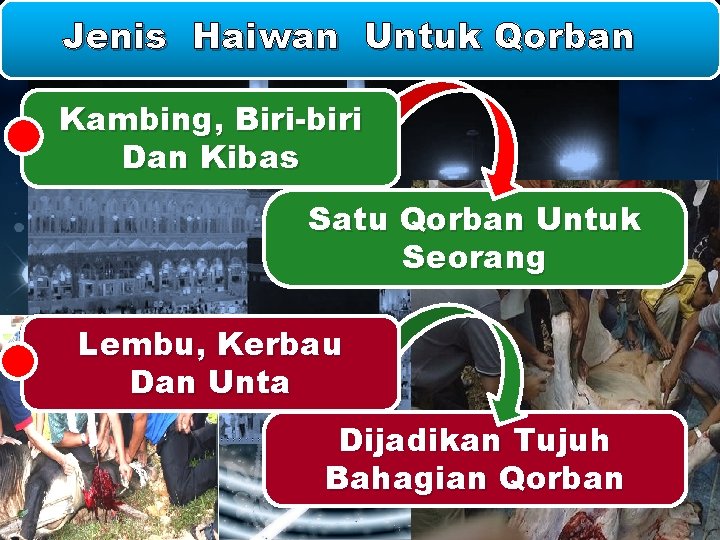 Jenis Haiwan Untuk Qorban Kambing, Biri-biri Dan Kibas Satu Qorban Untuk Seorang Lembu, Kerbau