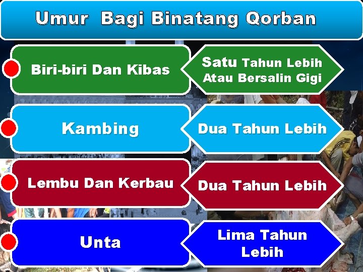 Umur Bagi Binatang Qorban Biri-biri Dan Kibas Satu Tahun Lebih Atau Bersalin Gigi Kambing