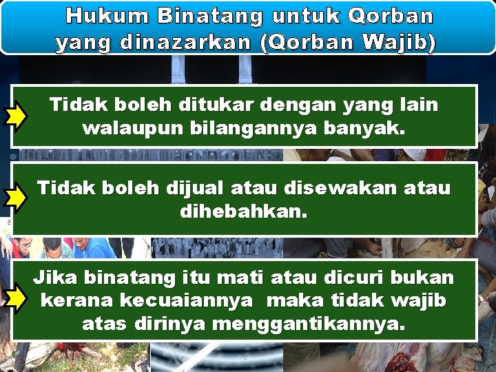 Hukum Binatang untuk Qorban yang dinazarkan (Qorban Wajib) Tidak boleh ditukar dengan yang lain