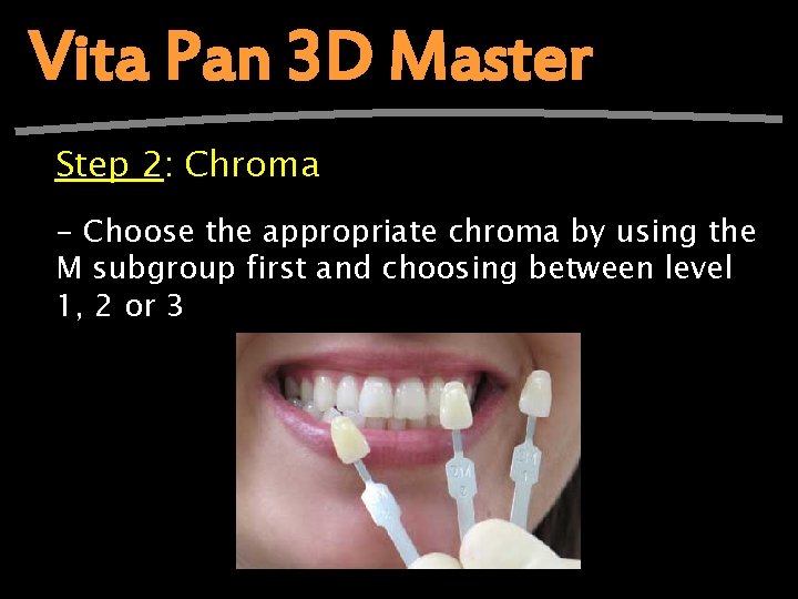 Vita Pan 3 D Master Step 2: Chroma - Choose the appropriate chroma by