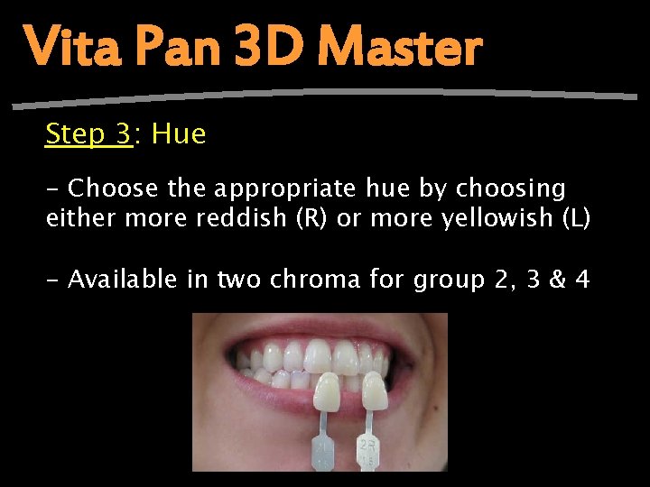 Vita Pan 3 D Master Step 3: Hue - Choose the appropriate hue by