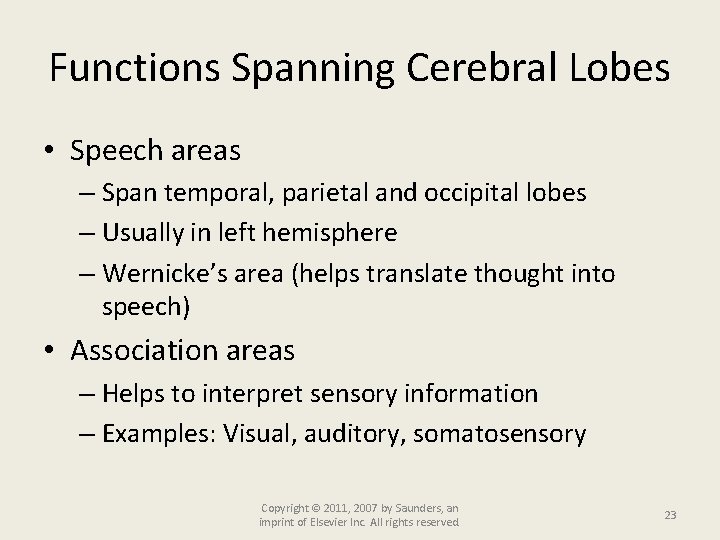 Functions Spanning Cerebral Lobes • Speech areas – Span temporal, parietal and occipital lobes