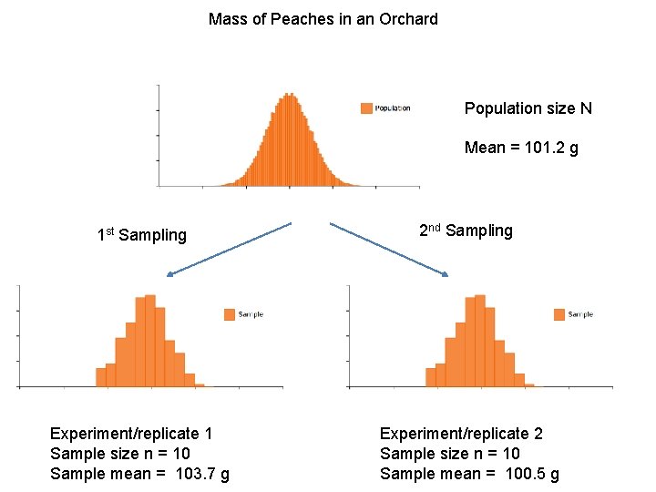 Mass of Peaches in an Orchard Population size N Mean = 101. 2 g