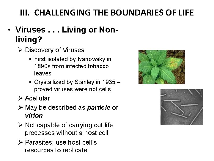 III. CHALLENGING THE BOUNDARIES OF LIFE • Viruses. . . Living or Nonliving? Ø
