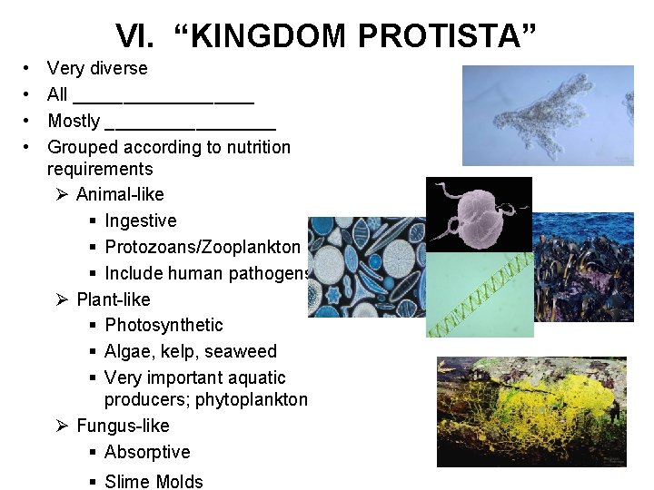 VI. “KINGDOM PROTISTA” • • Very diverse All _________ Mostly _________ Grouped according to