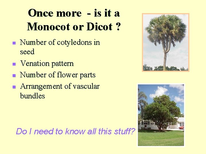 Once more - is it a Monocot or Dicot ? n n Number of
