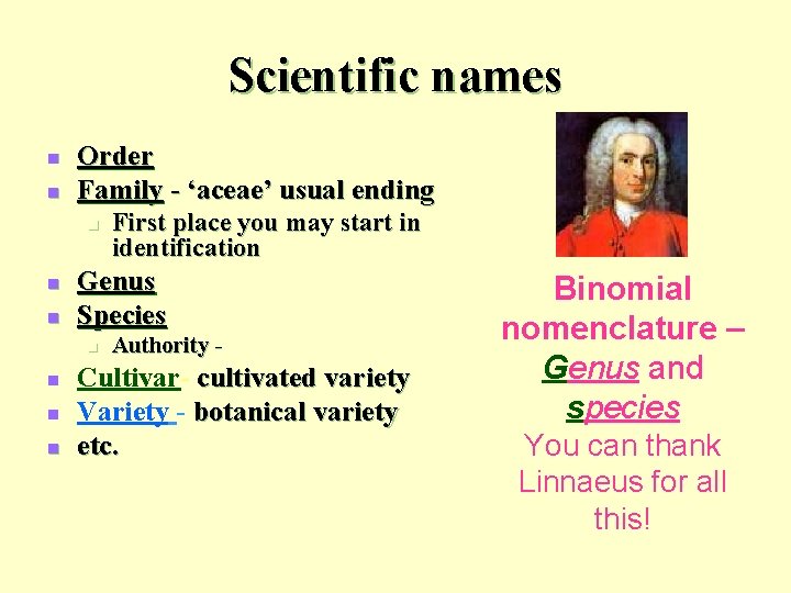 Scientific names n n Order Family - ‘aceae’ usual ending n n n Genus