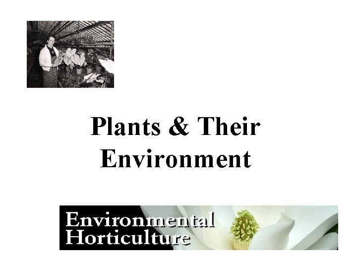 Plants & Their Environment 