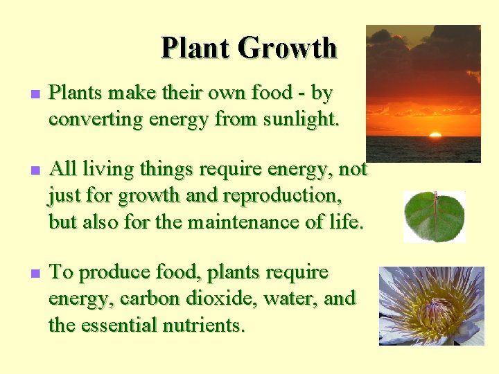 Plant Growth n n n Plants make their own food - by converting energy