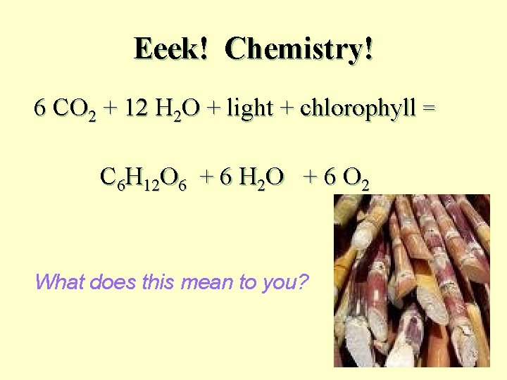 Eeek! Chemistry! 6 CO 2 + 12 H 2 O + light + chlorophyll