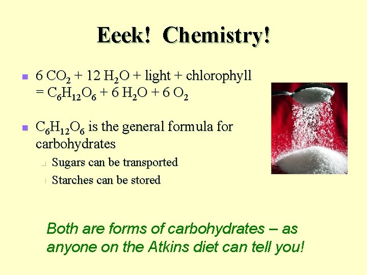 Eeek! Chemistry! n n 6 CO 2 + 12 H 2 O + light