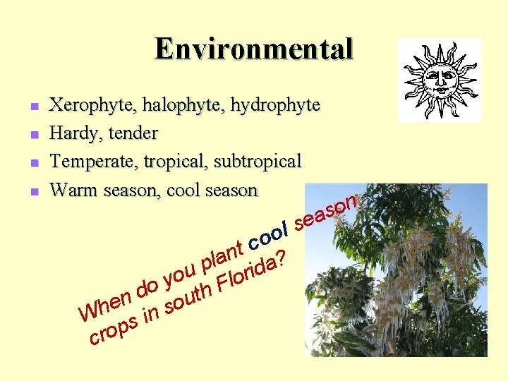 Environmental n n Xerophyte, halophyte, hydrophyte Hardy, tender Temperate, tropical, subtropical Warm season, cool