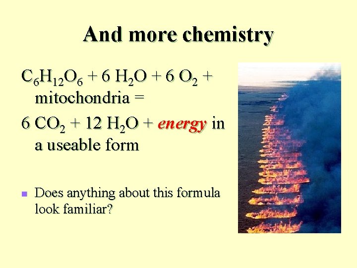 And more chemistry C 6 H 12 O 6 + 6 H 2 O