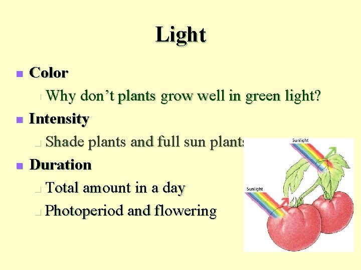 Light n n n Color n Why don’t plants grow well in green light?