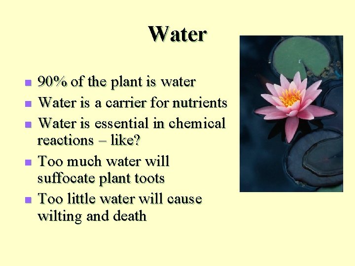 Water n n n 90% of the plant is water Water is a carrier